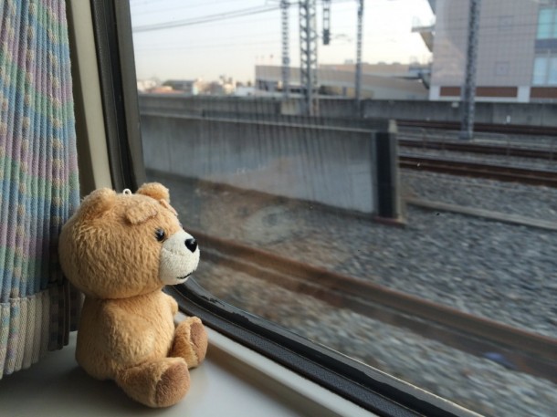 窓の旅熊。